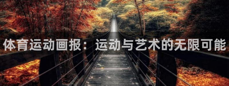 3377体育官方正版app代理:体育运动画报:运动与艺术的无